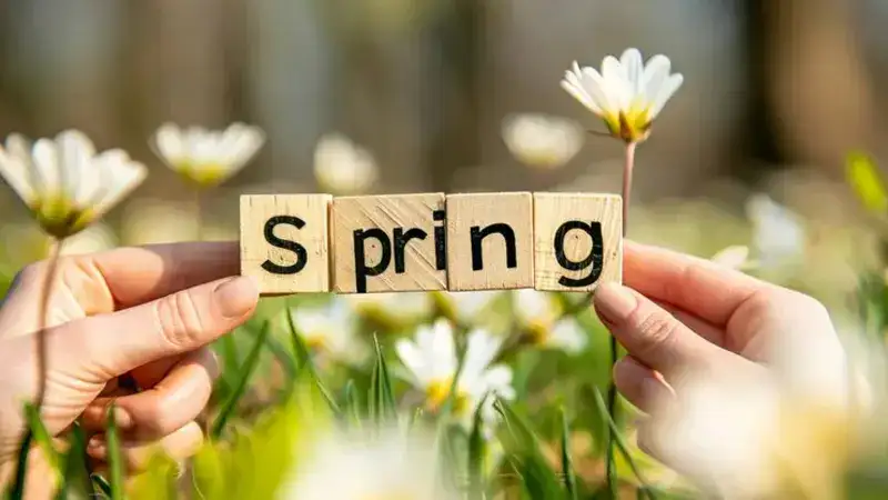 is spring capitalized